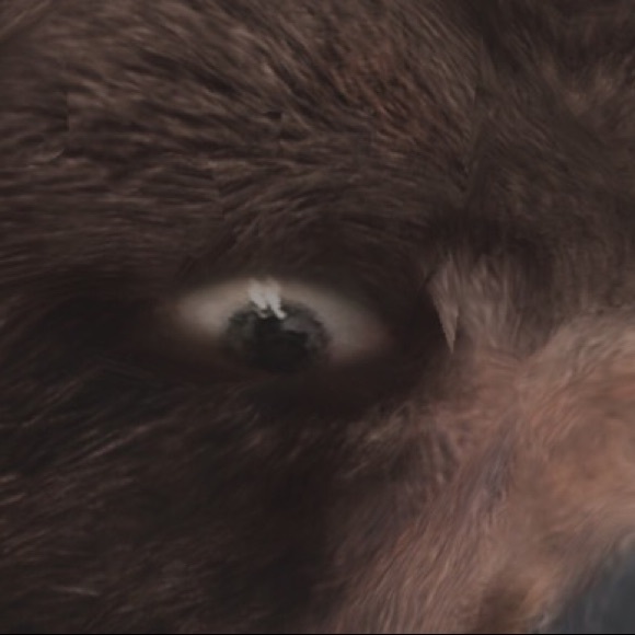 Meet your Posher, Cole - Picture 1 of 1